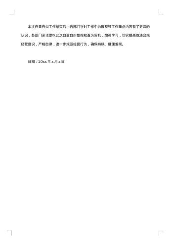 保险公司自查报告
