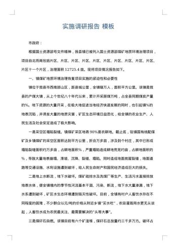 实施调研报告