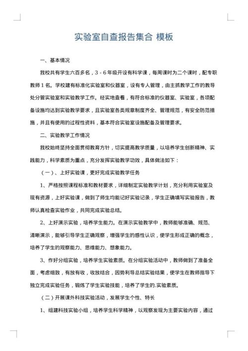实验室自查报告集合