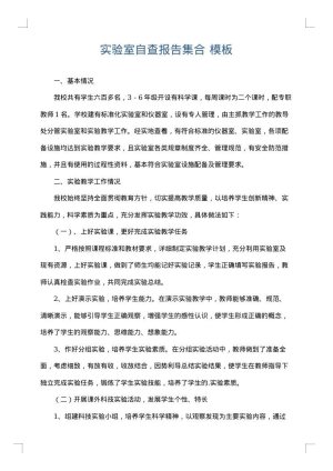 实验室自查报告集合