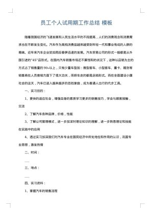 员工个人试用期工作总结
