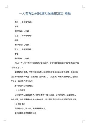一人有限公司同意担保股东决定