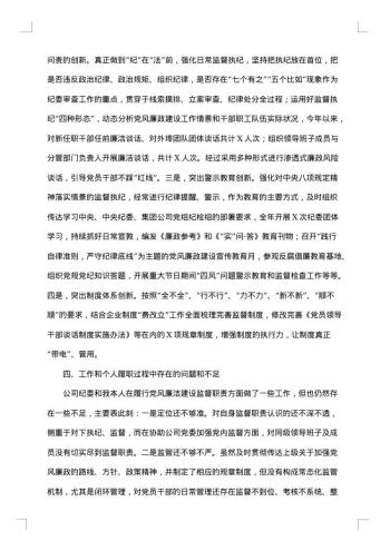 述责述廉报告