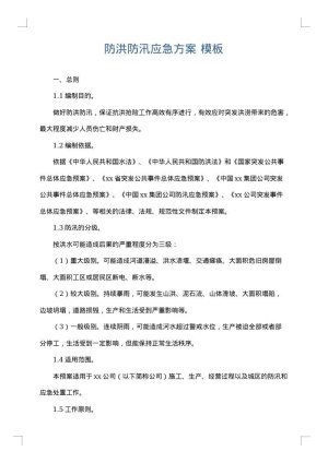 防洪防汛应急方案