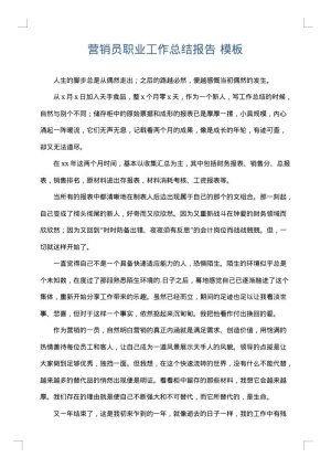 营销员职业工作总结报告