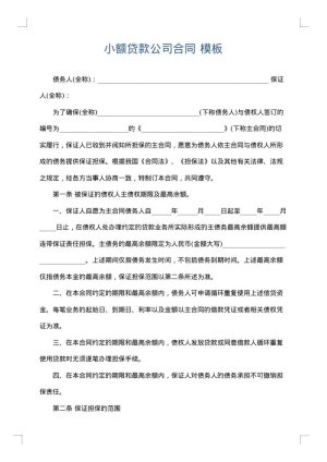 小额贷款公司合同