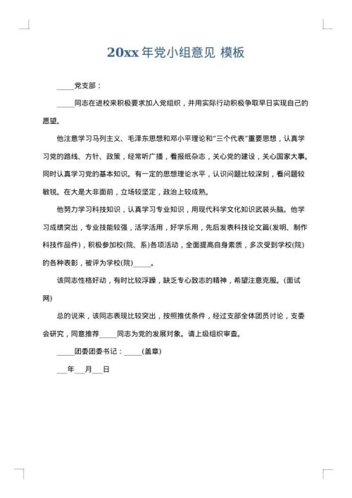 2025年党小组意见