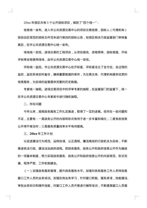 2025年政务服务工作总结