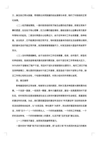 大学生农村社会调查报告