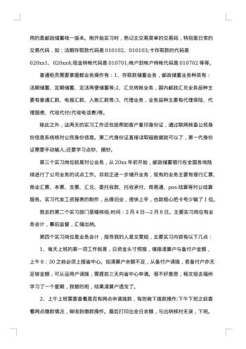 最新实践报告范文3000字