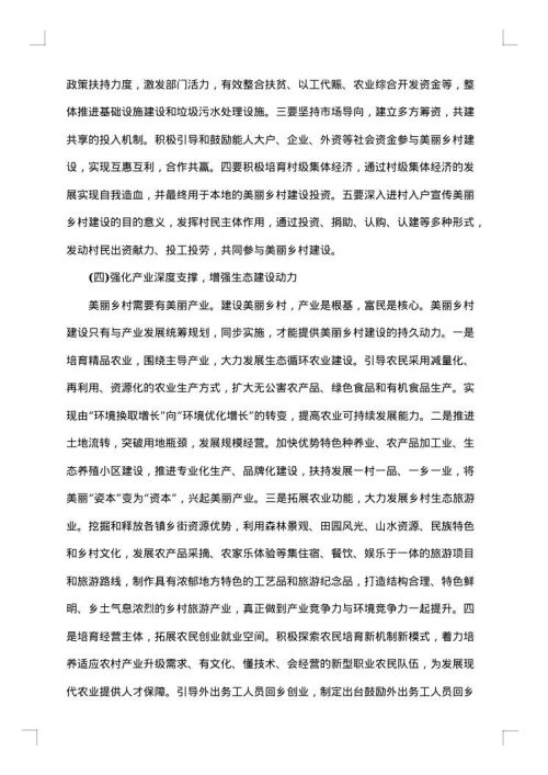 2025年村建设调研报告