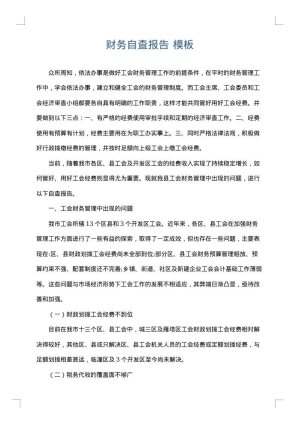 财务自查报告