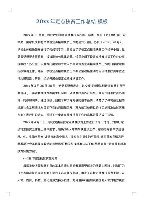 2025年定点扶贫工作总结