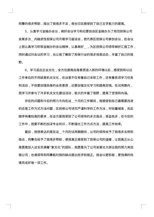 IT员工试用期转正工作总结