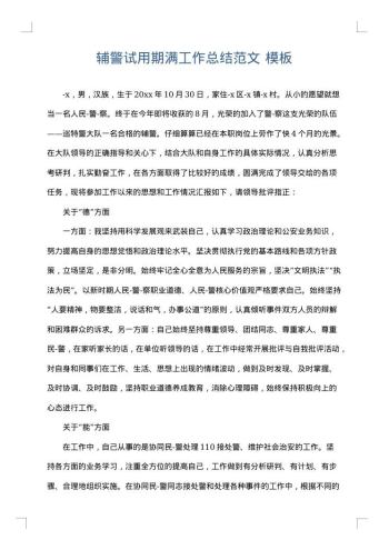 辅警试用期满工作总结范文