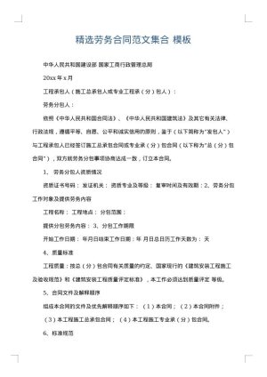 精选劳务合同范文集合