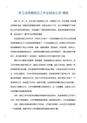 员工试用期转正工作总结怎么写