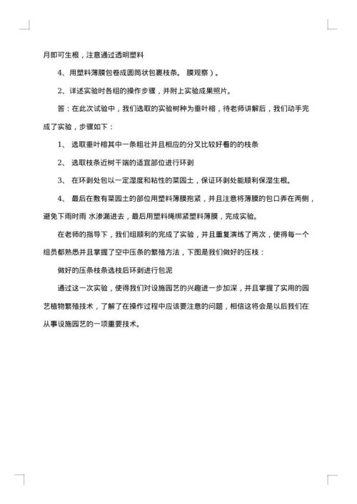 高空压条的实验报告