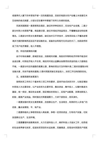 村脱贫计划书