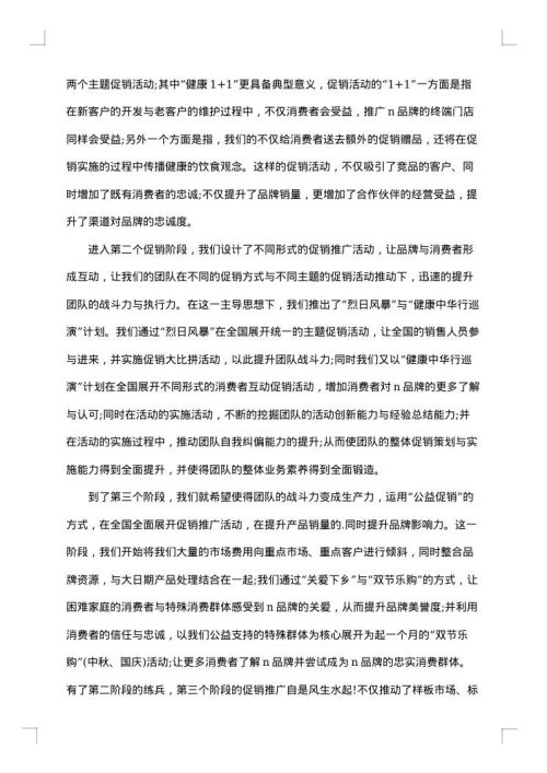 2025年经典的促销策划方案