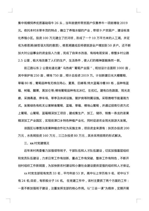 2025年蹲点调研报告