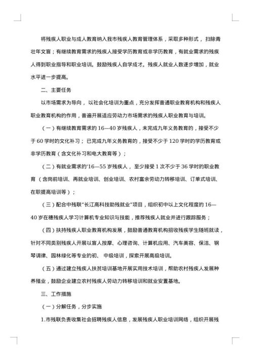 残疾人实施方案