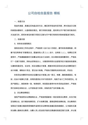 公司自检自查报告