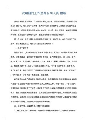 试用期的工作总结公司人员