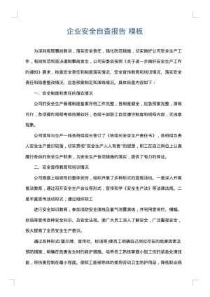 企业安全自查报告