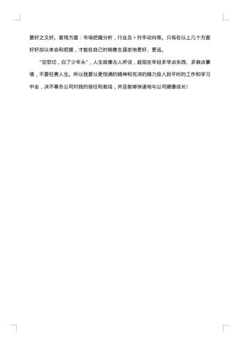 销售员试用期的工作总结