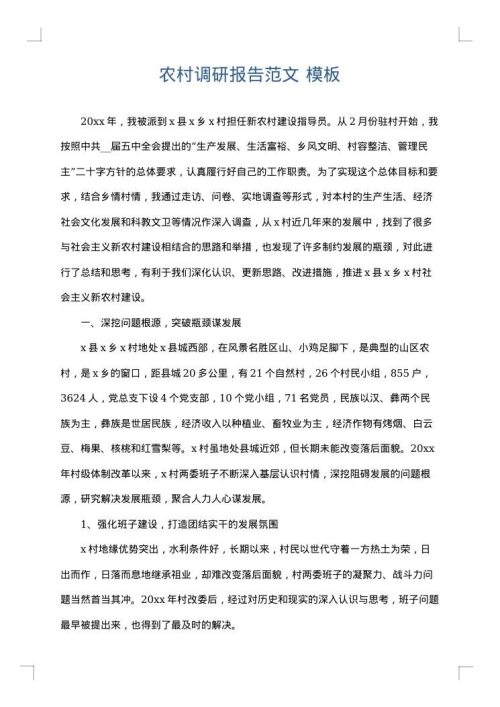 农村调研报告范文