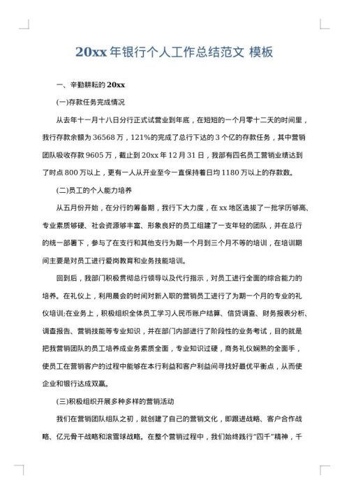 2025年银行个人工作总结范文