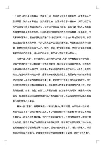基层党组织建设自查报告