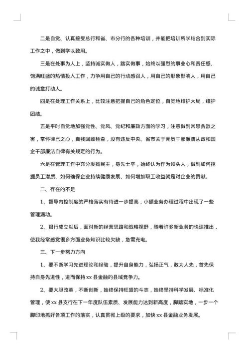2025年银行行长工作总结范文