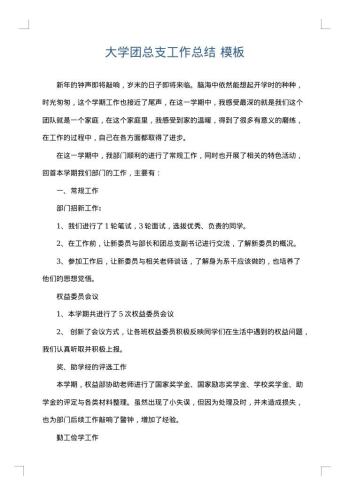 大学团总支工作总结
