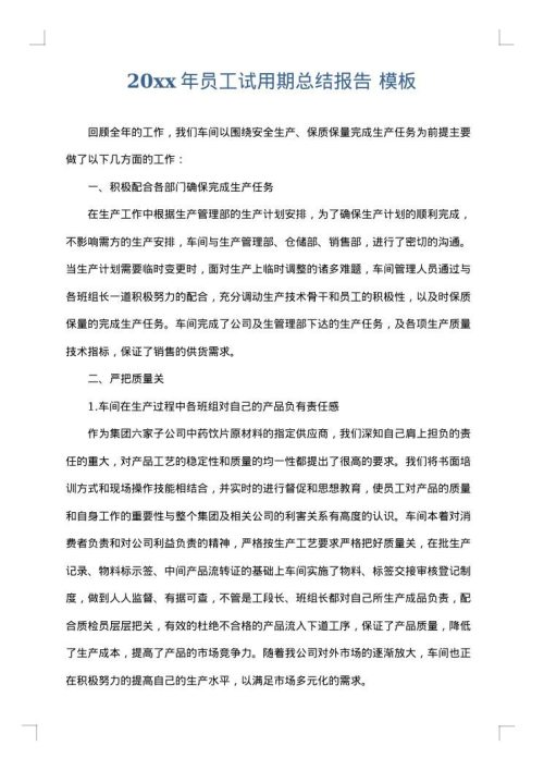 2025年员工试用期总结报告
