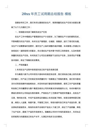 2025年员工试用期总结报告