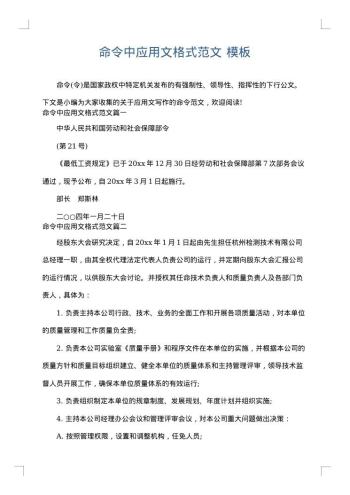 命令中应用文格式范文
