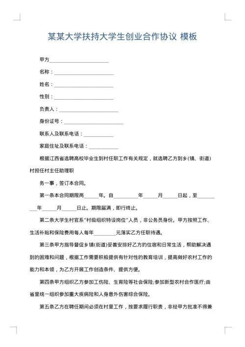 某某大学扶持大学生创业合作协议