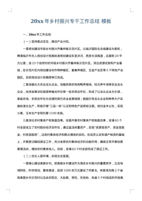 2025年乡村振兴专干工作总结