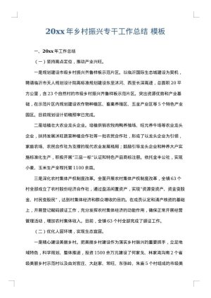 2025年乡村振兴专干工作总结