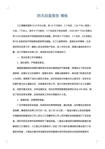 防汛自查报告