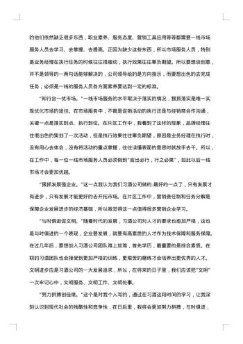 20xx年公司试用期工作总结范文