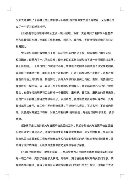 村党支部年终工作总结