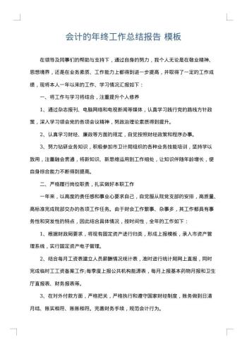 会计的年终工作总结报告