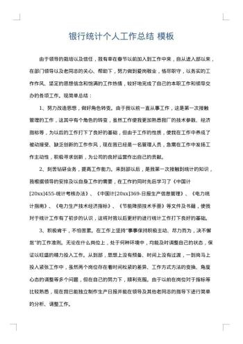 银行统计个人工作总结