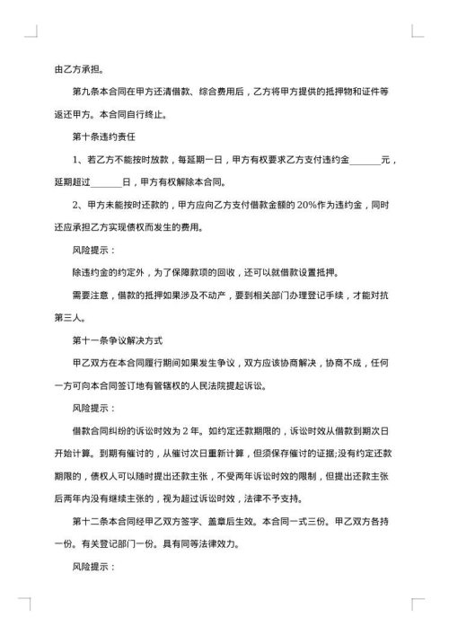 个人宝马车质押借款合同书