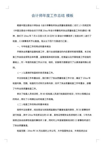 会计师年度工作总结