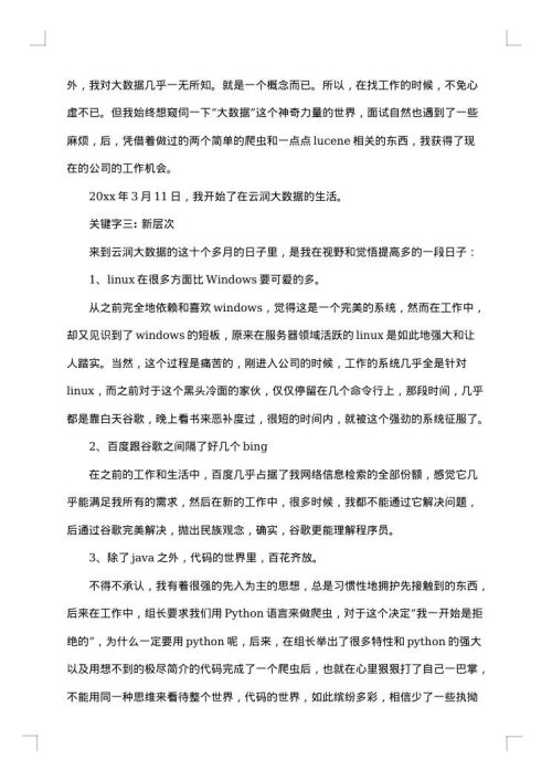 2025年程序员个人工作总结范文