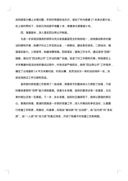 村支部书记述职述廉报告